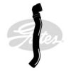 GATES 3946 Radiator Hose